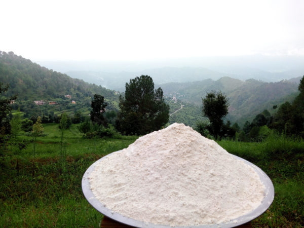 Wheat Flour 1 Kg
